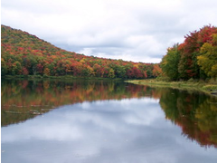 Alder Lake