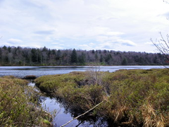 Long Pond